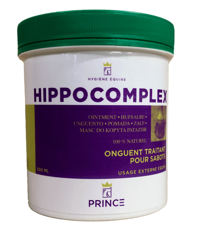 HIPPOCOMPLEX